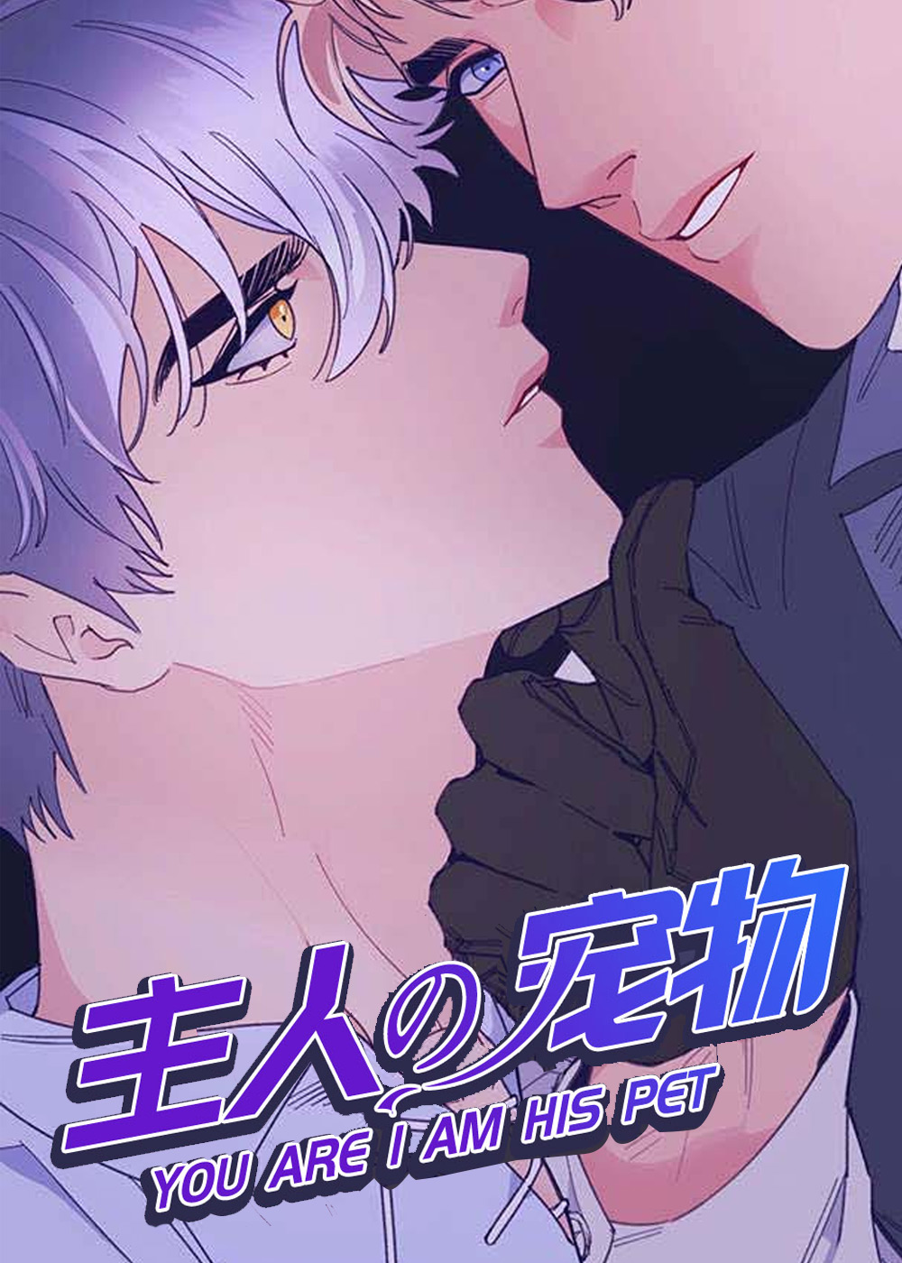 主人的宠物
