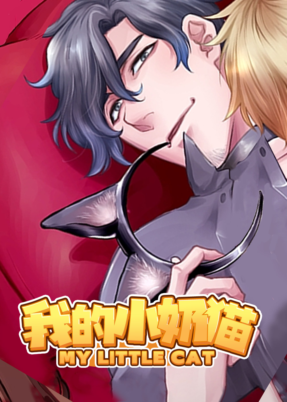 我的小奶猫