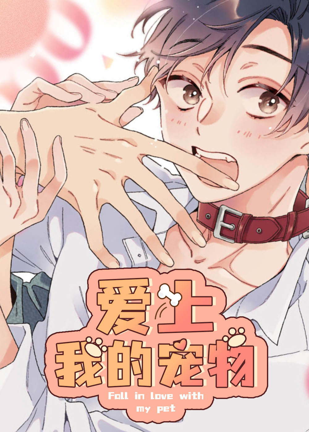 爱上我的宠物