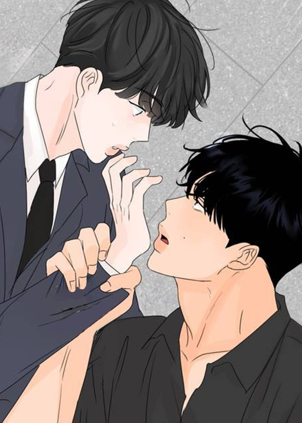 香味的界限|香味的边界